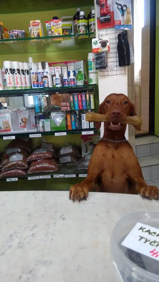 Prodejna Zverivet Kroměříž - sortiment